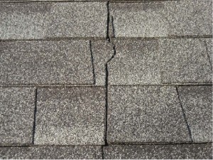 timberline shingles gaf roof settlement defective action class cracked photograph sample find